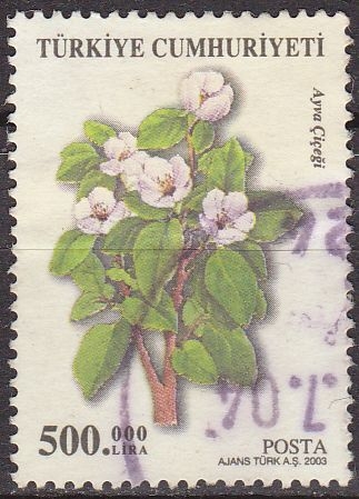 Turquia 2003 Scott 2861 Sello º Flora Membrillo Ayva Cicegi Timbre Turquie Turkia